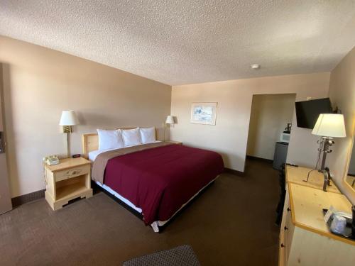 pokój hotelowy z łóżkiem i telewizorem w obiekcie Regency Inn w mieście Dodge City