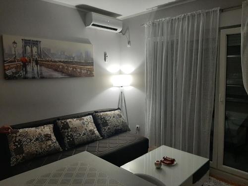 Afbeelding uit fotogalerij van Apartman Ljubovic in Podgorica