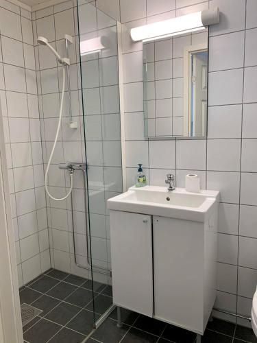 a bathroom with a shower and a sink and a mirror at Mosjøen Overnatting, Vollanvegen 13 in Mosjøen
