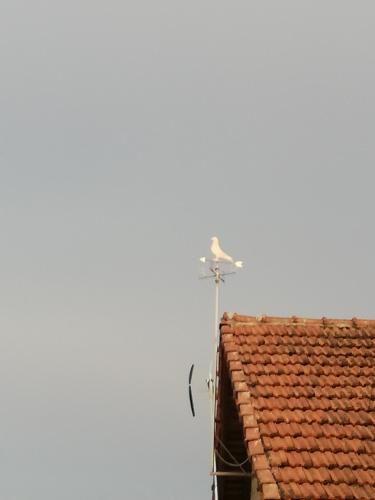 a satellite dish on top of a roof at La maison du colombophile in Neuville-sur-Ailette