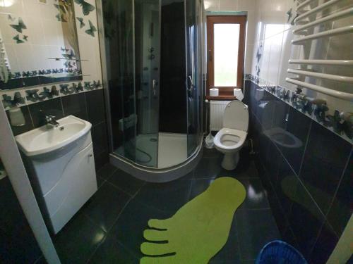 a bathroom with a green footprint on the floor at Emiliya in Tatariv