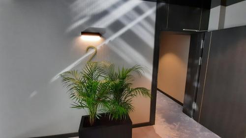 Galeriebild der Unterkunft ApartPark Apartament Albus in Świnoujście