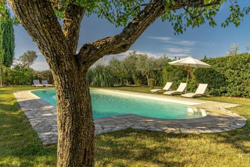 a pool with chairs and an umbrella next to a tree at Villa Casavecchia in San Casciano in Val di Pesa