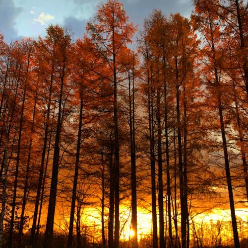 帯広市にある星空自慢の宿帯広八千代Starry Sky Innのギャラリーの写真