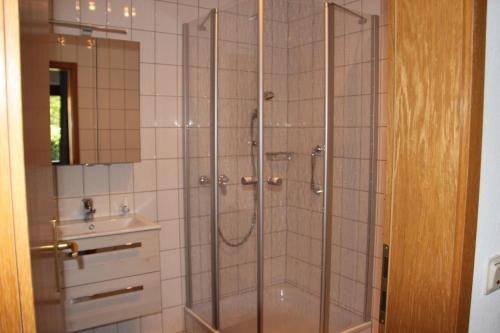 una ducha con una puerta de cristal junto a un lavabo en Ellis Garden, en Idar-Oberstein