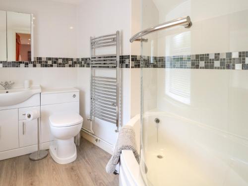 a bathroom with a toilet and a sink and a shower at Compass Cottage in Holt