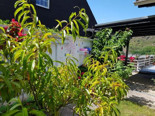 Κήπος έξω από το Gartenstudio Anila