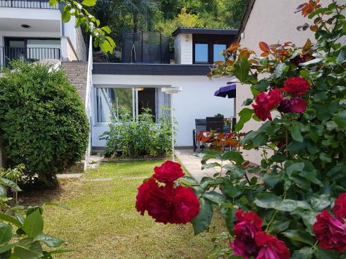 a house with red roses in the yard at Gartenstudio Anila in Cochem