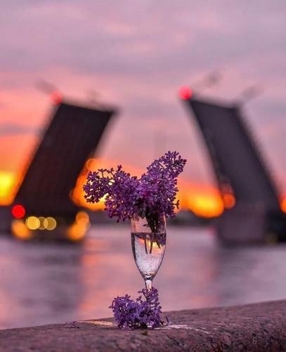 ????????, Sankt Petersburg, Rusia
