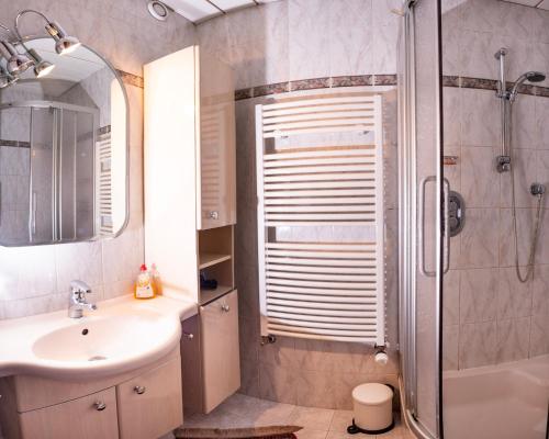 uma casa de banho com um lavatório e um chuveiro em Holiday Apartment Nana em Reichenfels