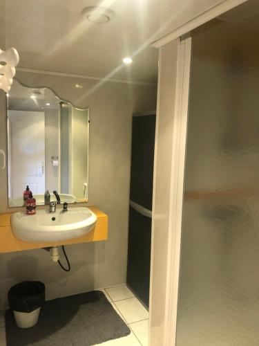 ein Bad mit einem Waschbecken und einem Spiegel in der Unterkunft Appartement à deux pas du port de La Roche-Bernard in La Roche-Bernard