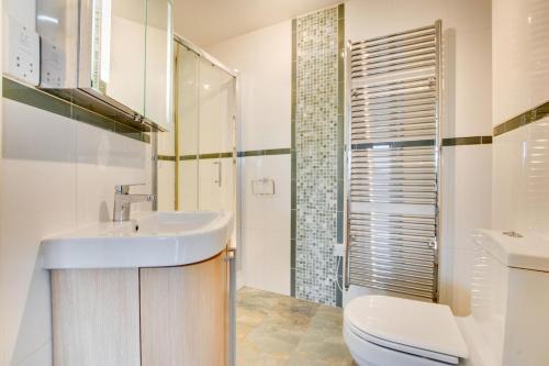 ein Bad mit einem Waschbecken, einem WC und einer Dusche in der Unterkunft The Old Stables Aberdyfi apartment 6 in Aberdyfi