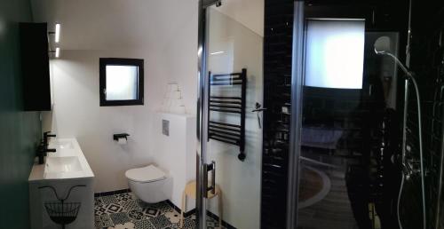 a bathroom with a shower and a toilet and a sink at Villa Moya, dependance privée Piscine & Spa in Châteauneuf-sur-Loire
