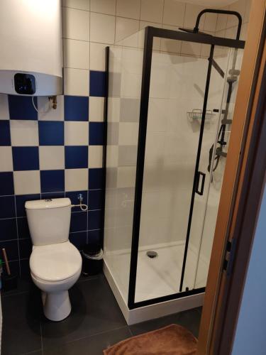 łazienka z toaletą i prysznicem w obiekcie Apartament Studio 11 Starówka Konin w Koninie