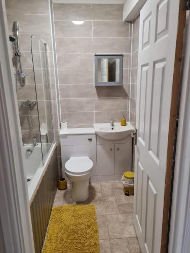 a bathroom with a toilet and a sink and a shower at 3 Wood Yard Cottages, Red Mayes Farm in Long Sutton