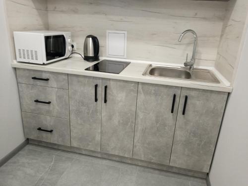 a kitchen with a sink and a microwave at Квартира в центре на Другетов in Uzhhorod
