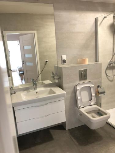 La salle de bains est pourvue d'un lavabo, de toilettes et d'un miroir. dans l'établissement Nadmorskie Tarasy Apartament 312, à Kołobrzeg