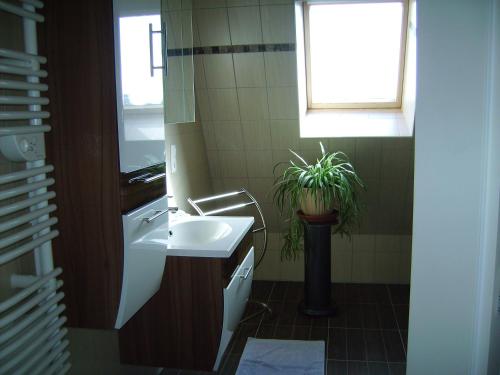 Monswiller的住宿－chez monika，一间带水槽和盆栽植物的浴室