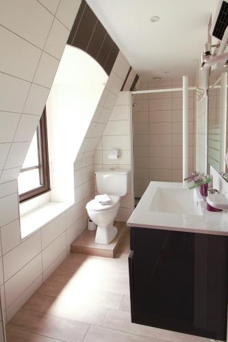 a bathroom with a toilet and a sink at Hôtel La Couronne in Marmande