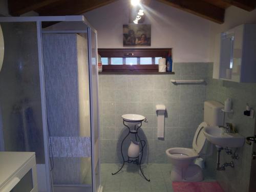 a bathroom with a shower and a toilet and a sink at Casa Rilassa Monte in Cividale del Friuli