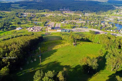 an aerial view of a park with trees and a river at Amazing Grace in McHenry
