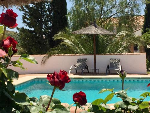 una piscina con 2 sillas, una sombrilla y rosas en Cortijo Valverde Alora en Alora