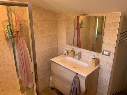 a bathroom with a sink and a shower at COCCO HOUSE in Rocca San Giovanni