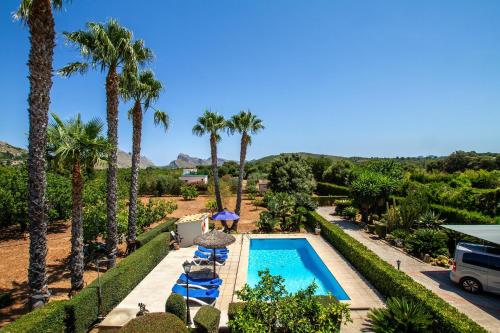 a view of the pool at the resort with palm trees at Pantina in Pollença