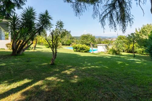 a green yard with trees and a swimming pool at Capa da Encosta in Amarante
