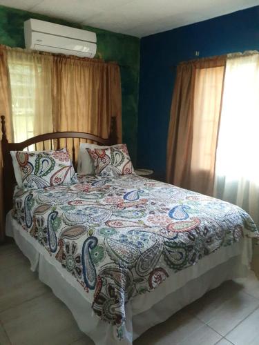 1 dormitorio con 1 cama con un edredón colorido en GranAnn's Place en Kingston