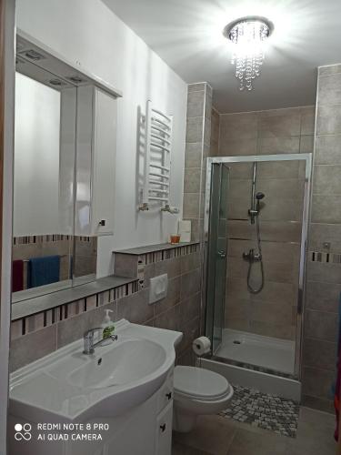 ein Bad mit einer Dusche, einem Waschbecken und einem WC in der Unterkunft Apartament Słoneczny in Augustów