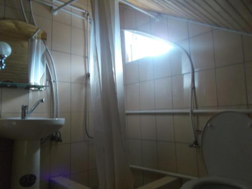 a bathroom with a shower and a toilet and a sink at Rukavychka in Yaremche