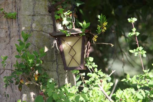 a bird feeder attached to the side of a tree at l'Ancre Vive in Charentay
