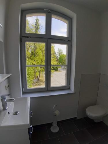 a bathroom with a window and a sink and a toilet at Rietschen, Natur erleben in Rietschen