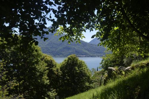 a view of a lake through the trees at AnMa Cottages The Secret Garden in Pianello Del Lario