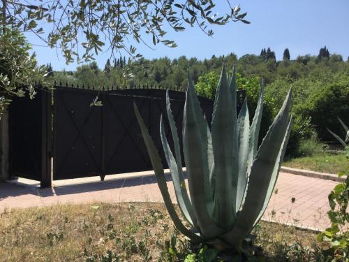 Villa Pax Maris – Photos 5