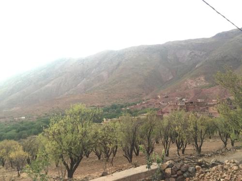 a view of a valley with trees and mountains at Guest House Imdoukal in Aït Tamellil