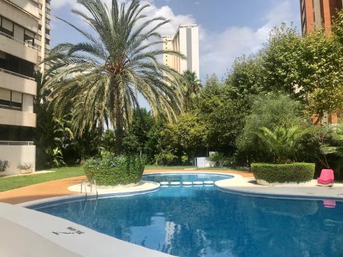 Apartamento COFFEE BEACH en PARQUE EUROPA