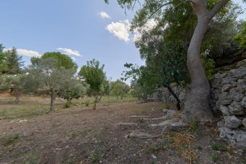 Φυσικό τοπίο κοντά σε αυτή η παραθεριστική κατοικία