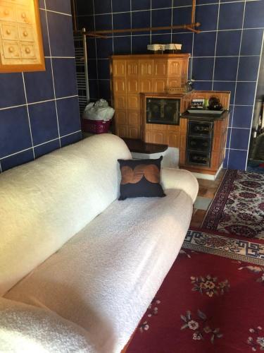 a couch sitting in a living room with at Ubytování v soukromí rodinné vily v Děčíně in Děčín