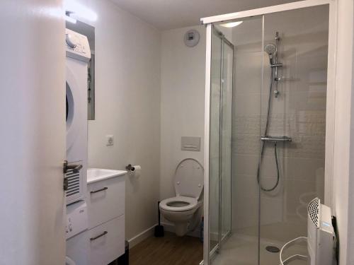 a bathroom with a toilet and a glass shower at Logement dans le Vieux Tours in Tours