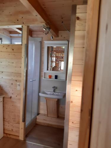 ein Bad mit einem Waschbecken und einem Spiegel in der Unterkunft Ferienwohnungen Soravia in Gamlitz