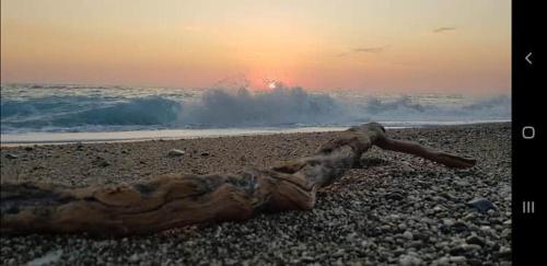 Uma praia perto da casa de hóspedes