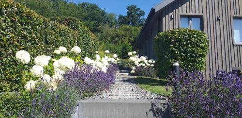 a garden with purple and white flowers and a building at Le Petit Moussis in Stavelot