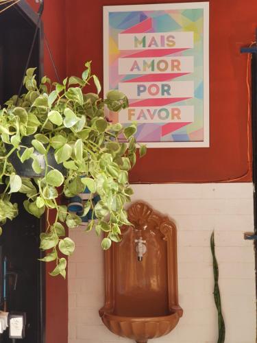 a green plant in a vase next to a clock at Pousada Solar dos Cavaleiros Mendes in Macaé