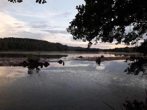 a large body of water with trees in the background at La maison du colombophile in Neuville-sur-Ailette