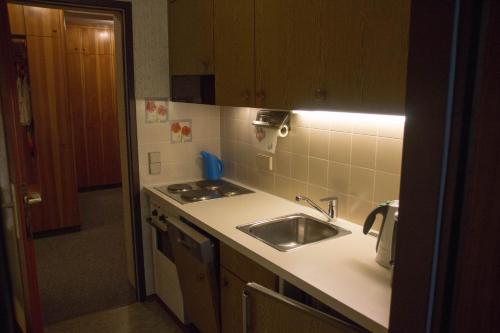 a kitchen with a sink and a counter top at Apartment Grüner Baum Alpendorf in Sankt Johann im Pongau