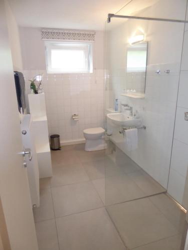 ein weißes Bad mit einem WC und einem Waschbecken in der Unterkunft Apartment in Maulbronn in Maulbronn