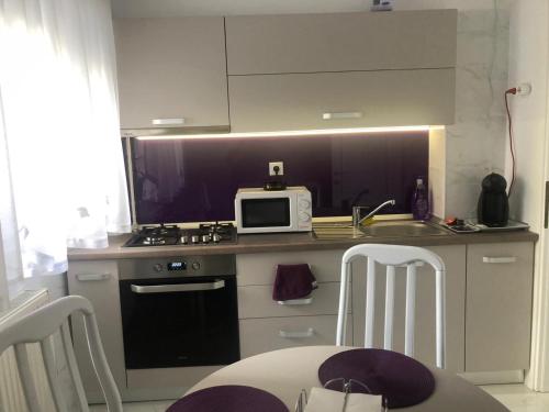 a kitchen with a sink and a microwave on a counter at Tudor Apartment in Brăila