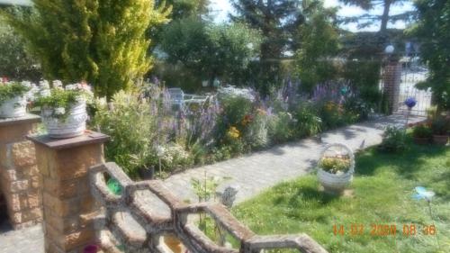 a garden with a bunch of flowers in a yard at Vermiete sehr schönes Apartment in Dankerode im Harz in Dankerode